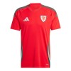 Officiële Voetbalshirt Wales Thuis 2024 - Heren